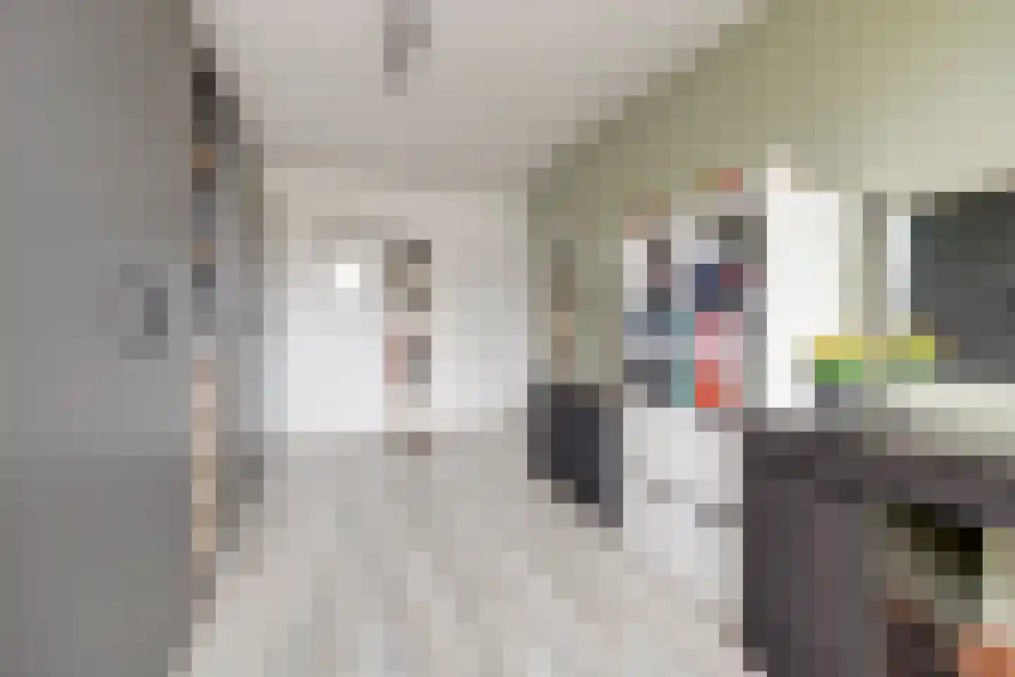 van Aerlestraat 5 Oirschot thumbnail 23