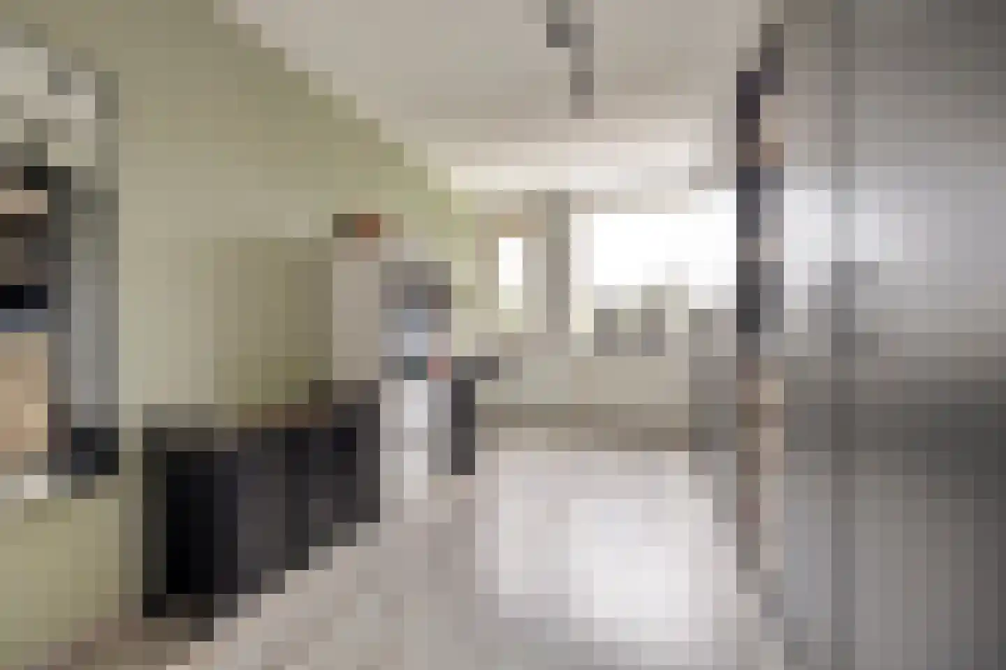 van Aerlestraat 5 Oirschot thumbnail 24