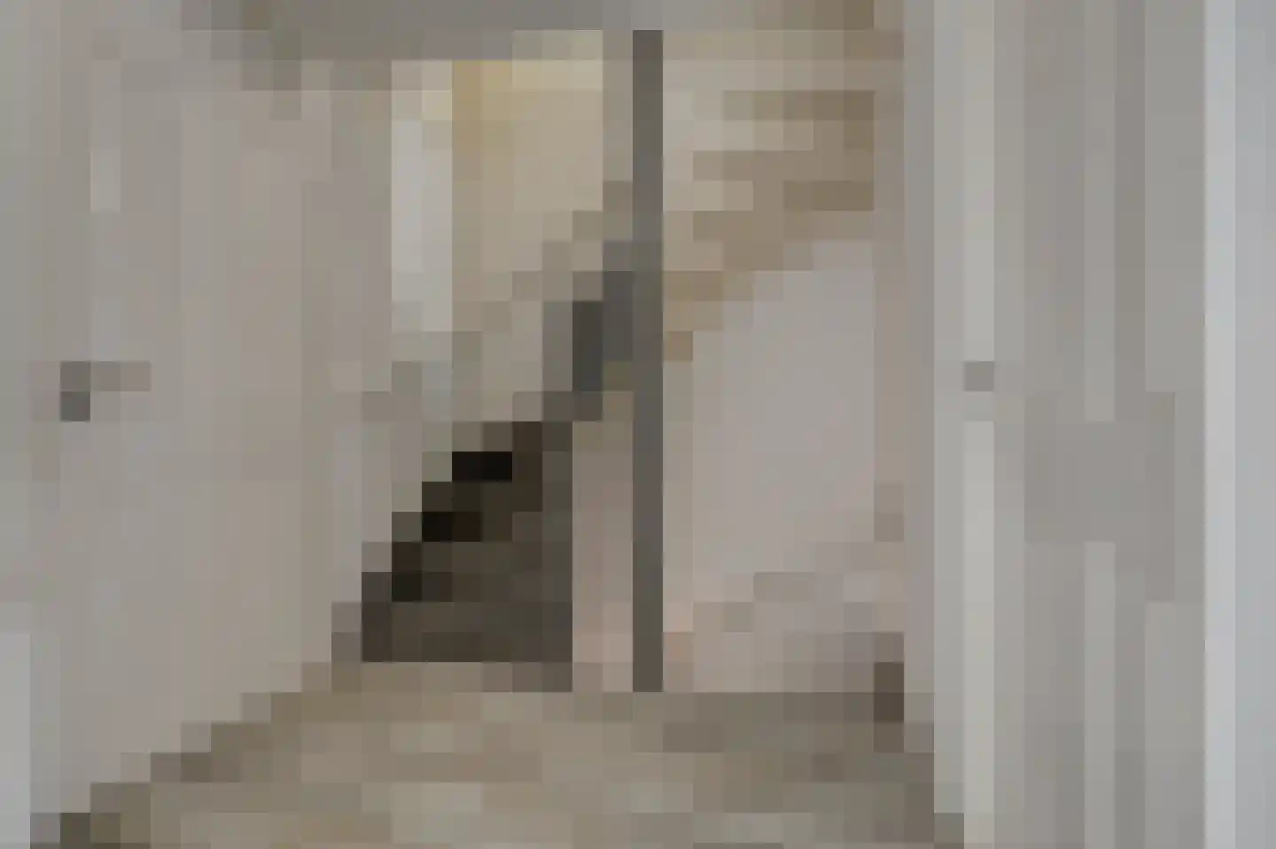van Aerlestraat 5 Oirschot thumbnail 29
