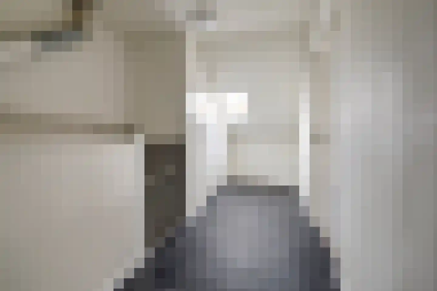 van Aerlestraat 5 Oirschot thumbnail 32