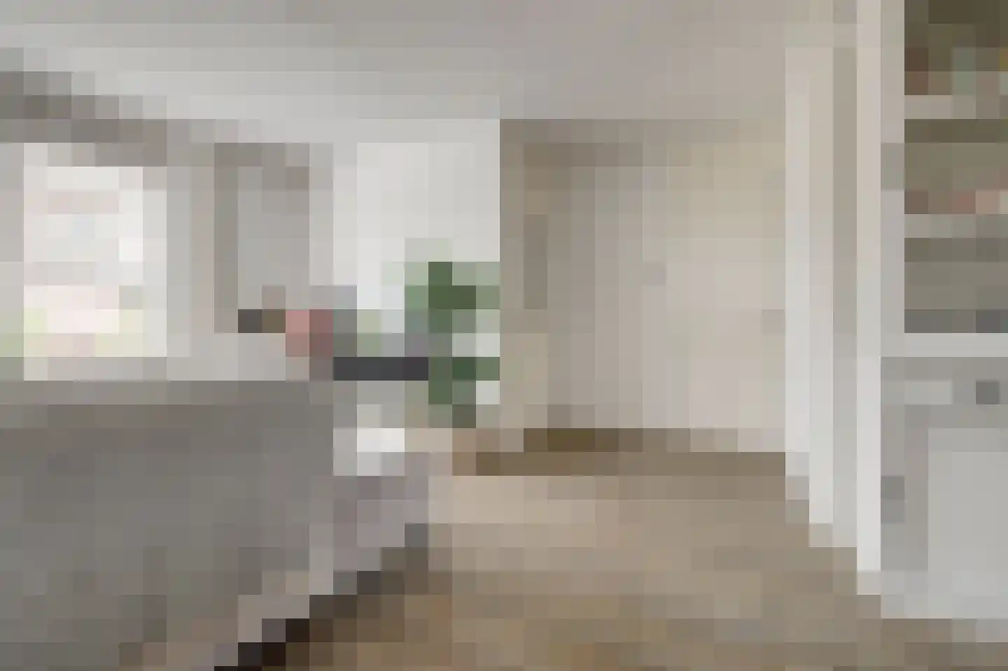 van Aerlestraat 5 Oirschot thumbnail 4