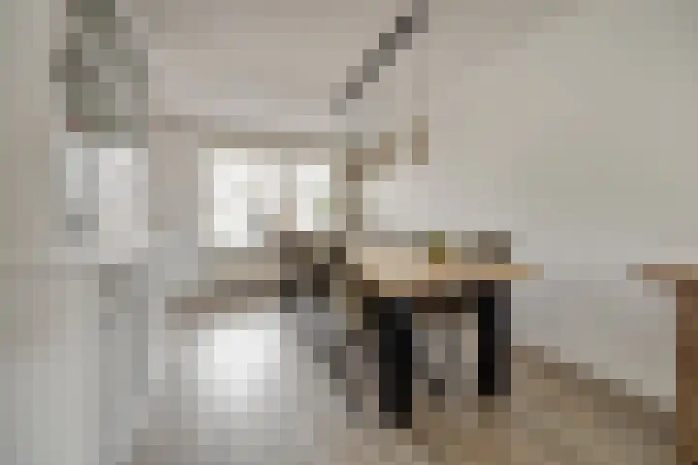 van Aerlestraat 5 Oirschot thumbnail 5