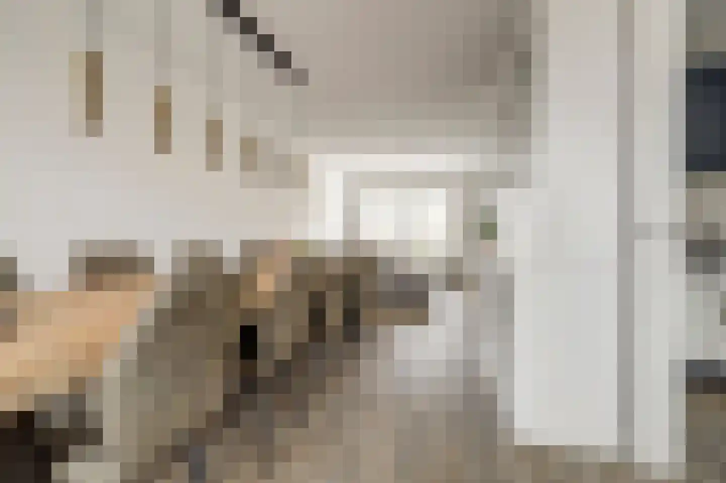 van Aerlestraat 5 Oirschot thumbnail 6