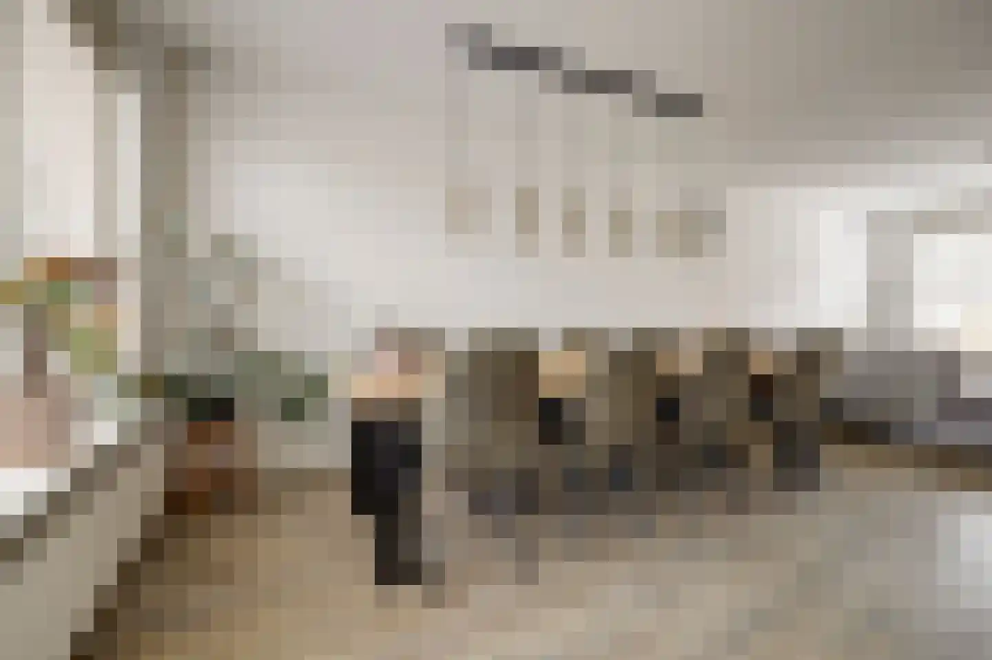 van Aerlestraat 5 Oirschot thumbnail 7