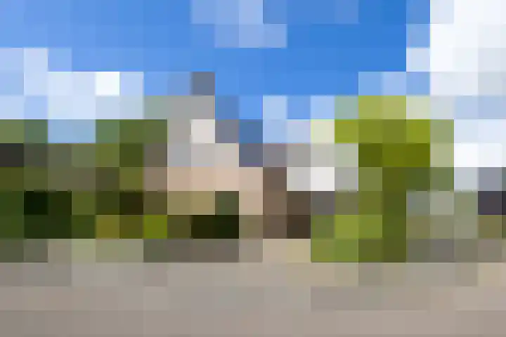 Van Aernsmastrjitte 20 en Damwâld