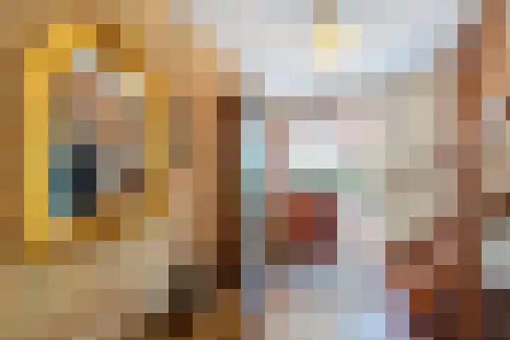 Van Aernsmastrjitte 20 Damwâld thumbnail 12