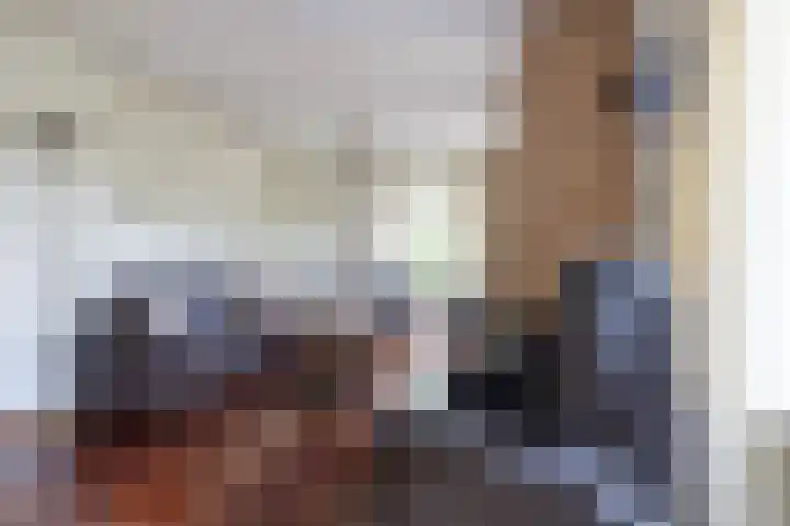Van Aernsmastrjitte 20 Damwâld thumbnail 17