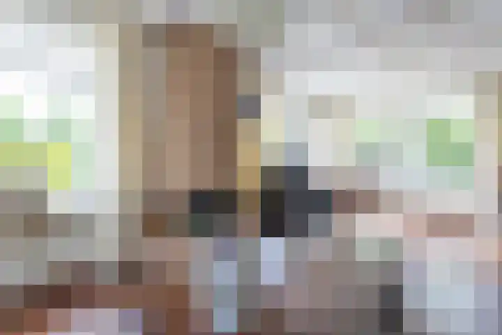 Van Aernsmastrjitte 20 Damwâld thumbnail 19
