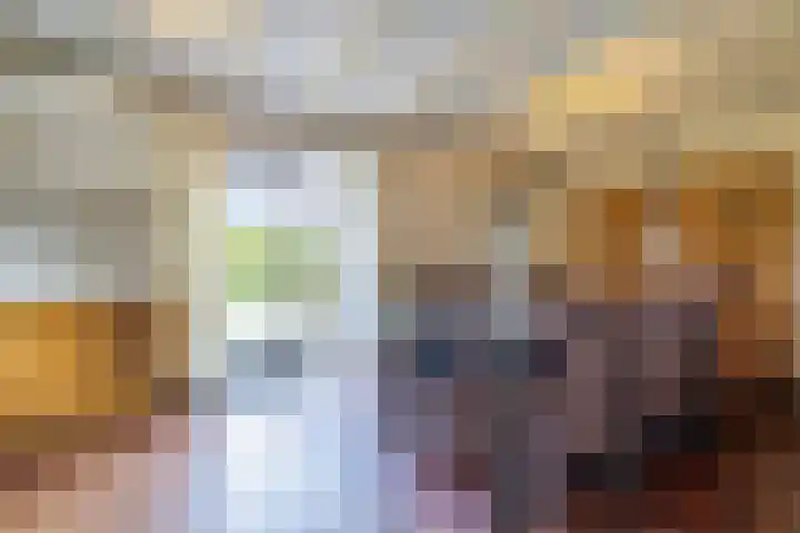 Van Aernsmastrjitte 20 Damwâld thumbnail 23