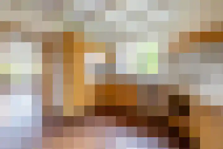 Van Aernsmastrjitte 20 Damwâld thumbnail 25
