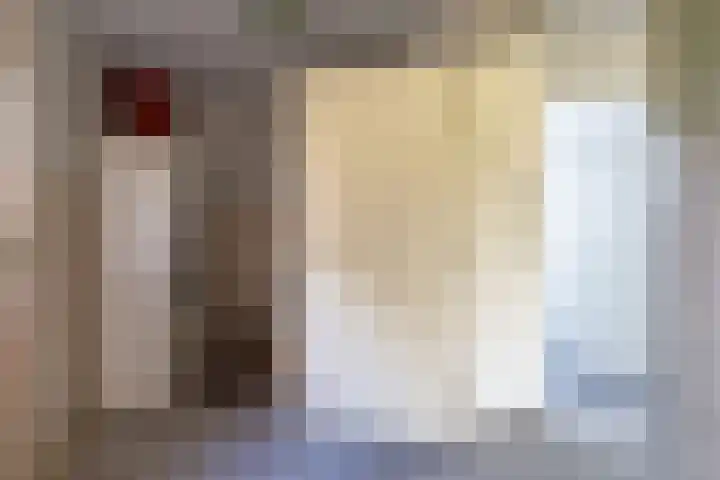Van Aernsmastrjitte 20 Damwâld thumbnail 28