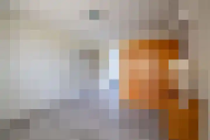 Van Aernsmastrjitte 20 Damwâld thumbnail 32