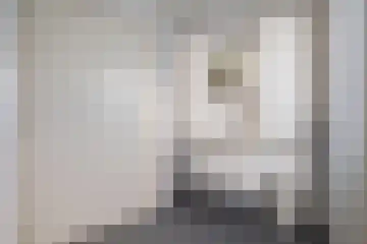 Van Aernsmastrjitte 20 Damwâld thumbnail 35