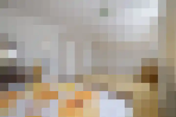 Van Aernsmastrjitte 20 Damwâld thumbnail 40