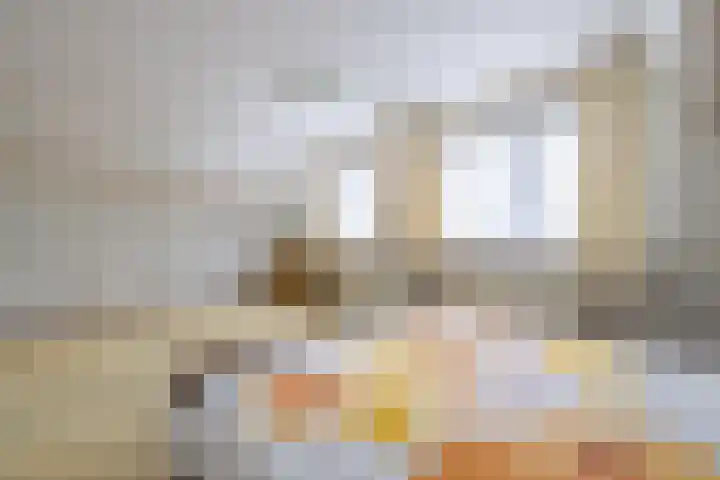 Van Aernsmastrjitte 20 Damwâld thumbnail 41