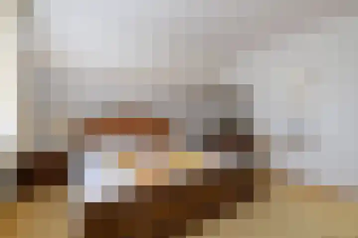 Van Aernsmastrjitte 20 Damwâld thumbnail 42