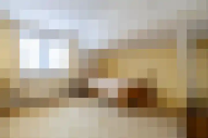 Van Aernsmastrjitte 20 Damwâld thumbnail 49