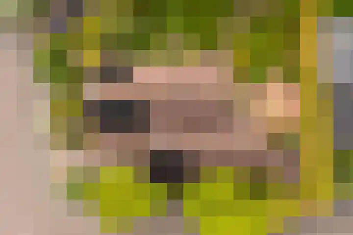Van Aernsmastrjitte 20 Damwâld thumbnail 5