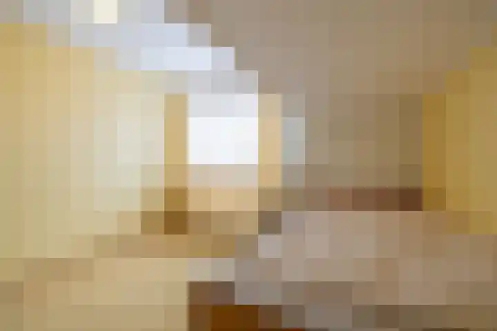 Van Aernsmastrjitte 20 Damwâld thumbnail 50