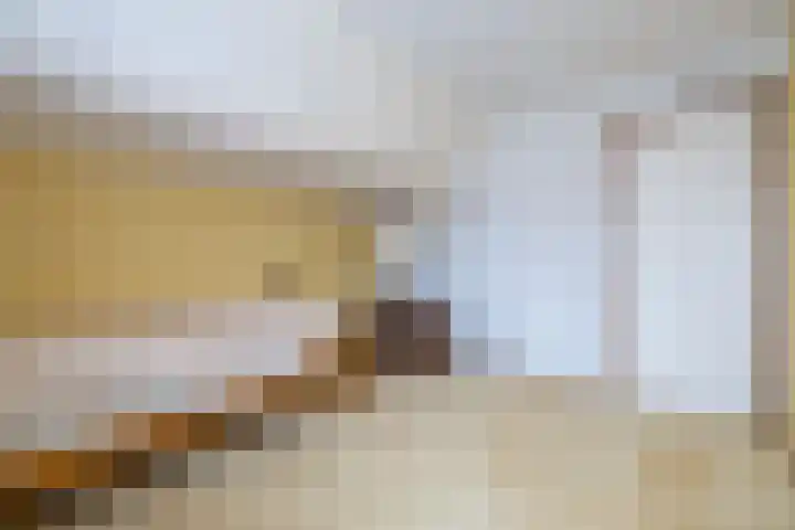 Van Aernsmastrjitte 20 Damwâld thumbnail 51
