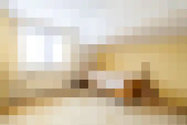 Van Aernsmastrjitte 20 Damwâld thumbnail 52