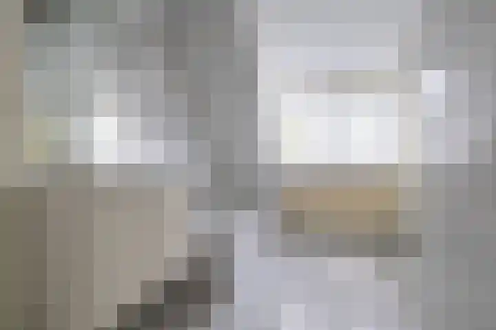 Van Aernsmastrjitte 20 Damwâld thumbnail 55