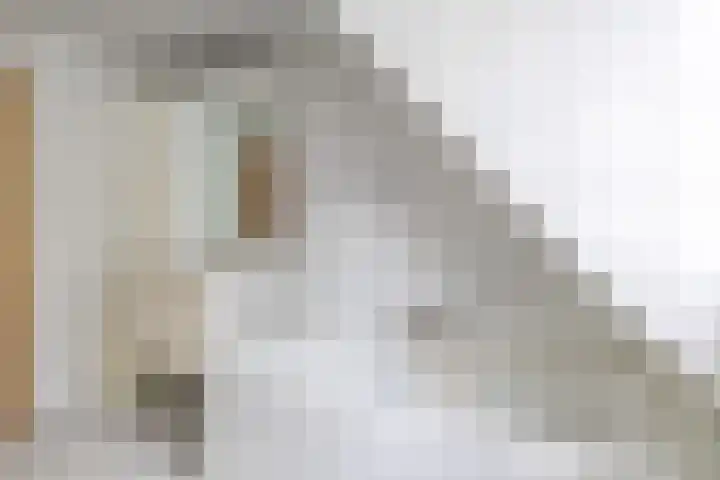Van Aernsmastrjitte 20 Damwâld thumbnail 57