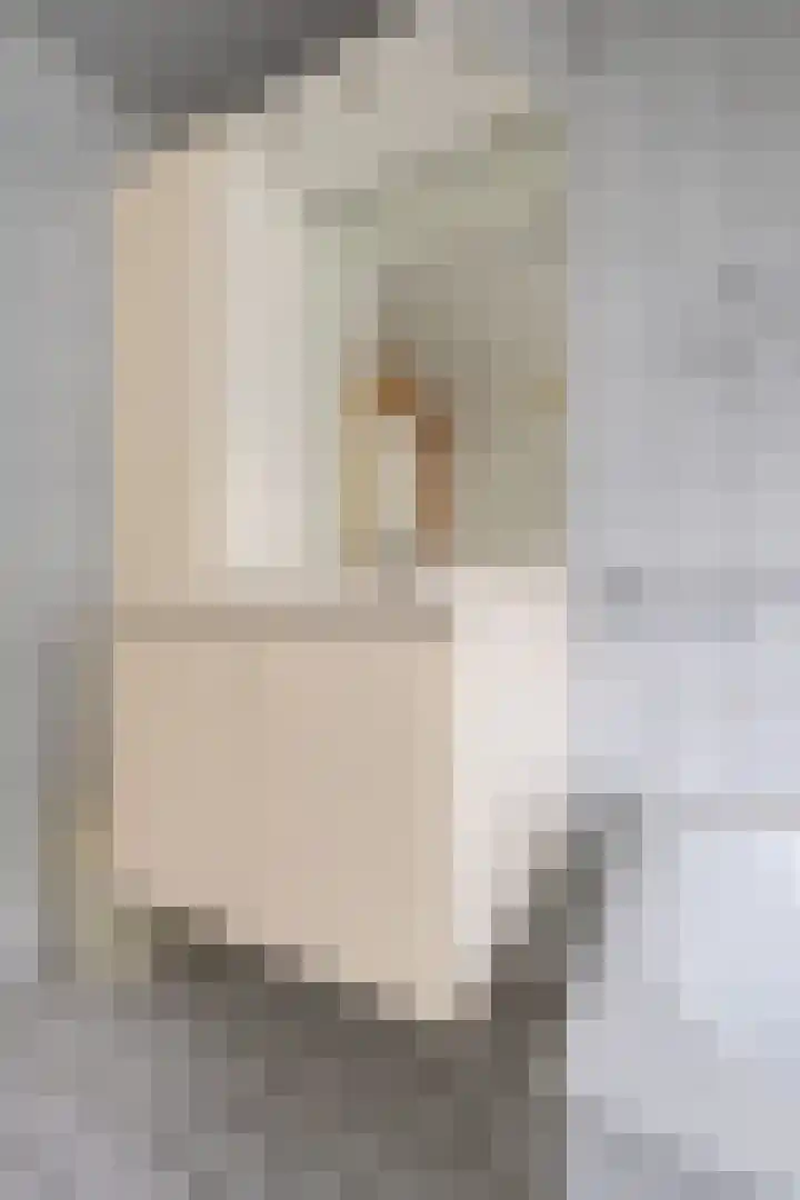 Van Aernsmastrjitte 20 Damwâld thumbnail 59