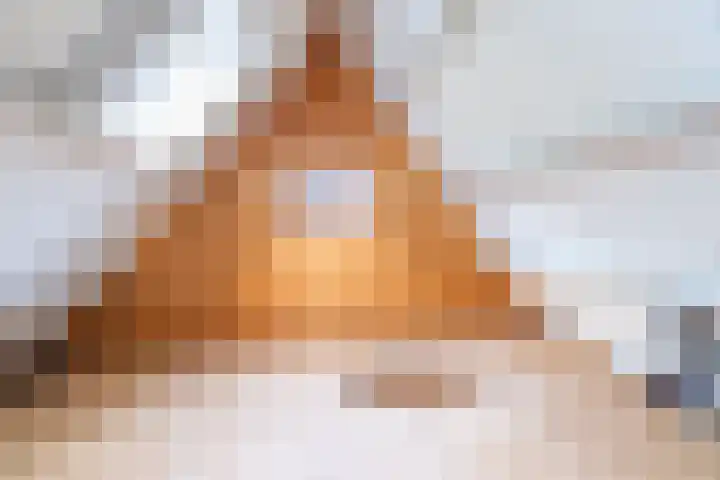 Van Aernsmastrjitte 20 Damwâld thumbnail 61