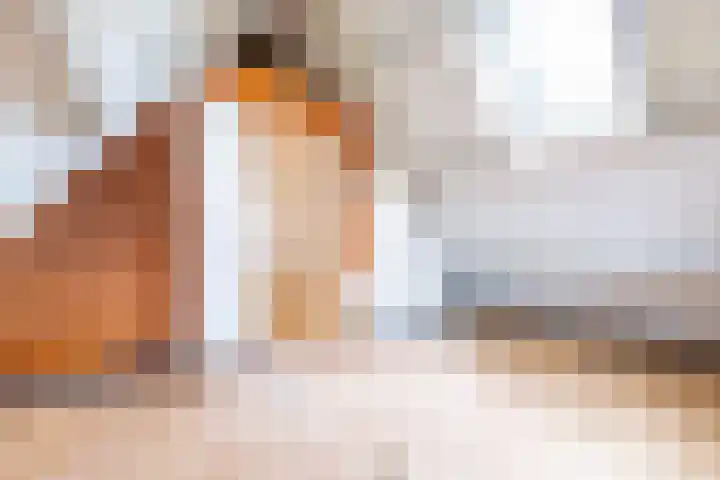 Van Aernsmastrjitte 20 Damwâld thumbnail 62