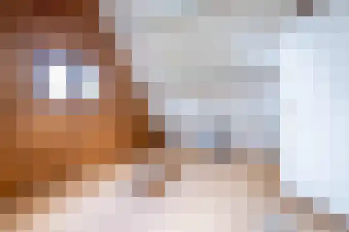 Van Aernsmastrjitte 20 Damwâld thumbnail 63