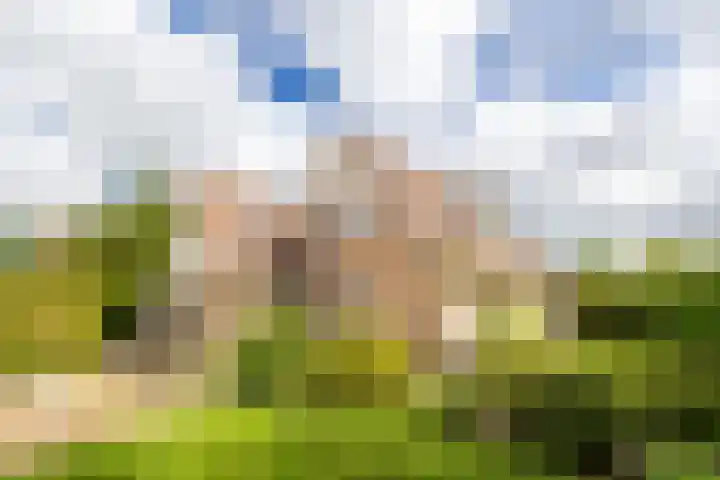 Van Aernsmastrjitte 20 Damwâld thumbnail 64