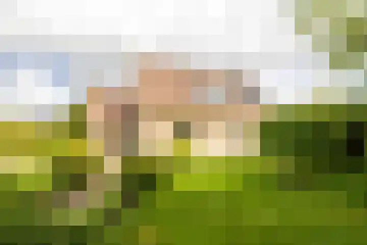 Van Aernsmastrjitte 20 Damwâld thumbnail 65