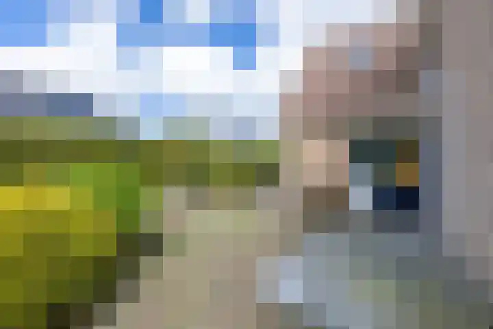 Van Aernsmastrjitte 20 Damwâld thumbnail 67