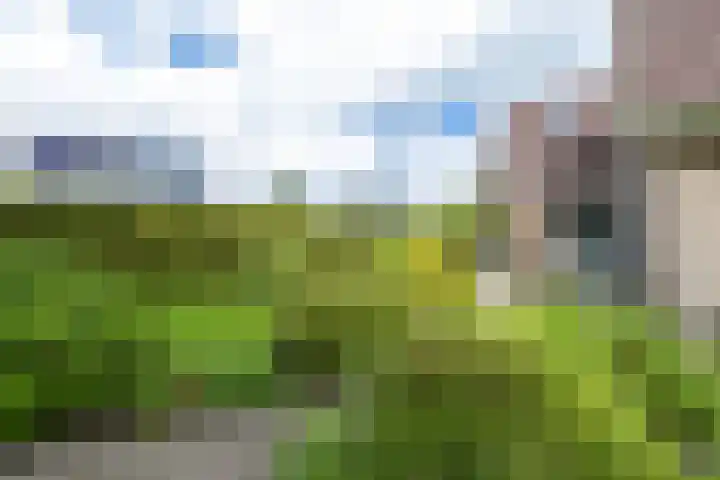 Van Aernsmastrjitte 20 Damwâld thumbnail 68