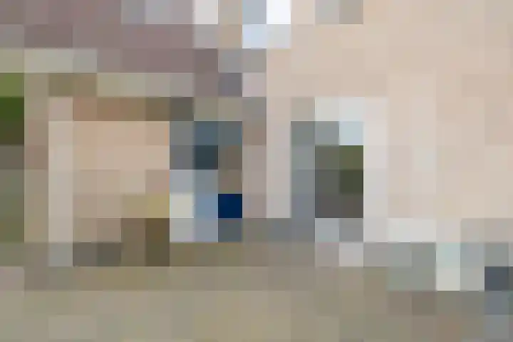 Van Aernsmastrjitte 20 Damwâld thumbnail 69