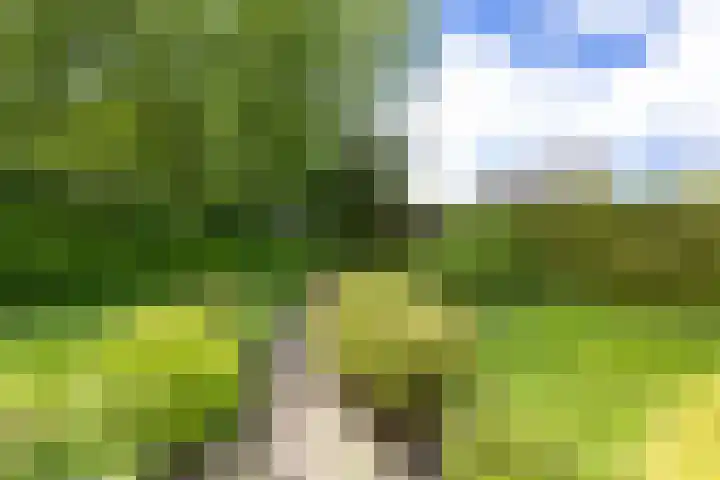 Van Aernsmastrjitte 20 Damwâld thumbnail 70