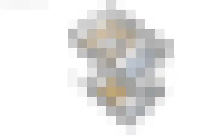 Van Aernsmastrjitte 20 Damwâld thumbnail 75