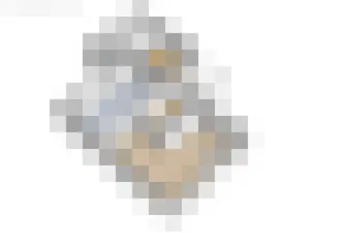 Van Aernsmastrjitte 20 Damwâld thumbnail 77