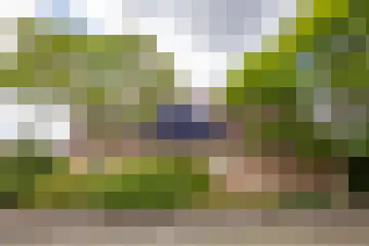 Van Aernsmastrjitte 20 Damwâld thumbnail 8