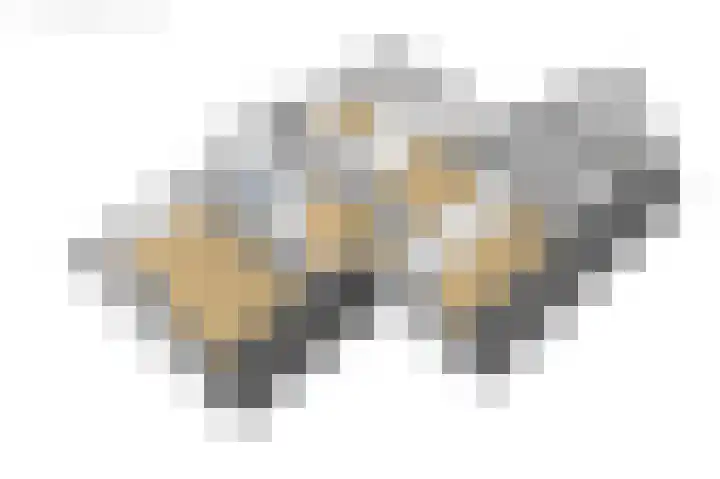 Van Aernsmastrjitte 20 Damwâld thumbnail 81