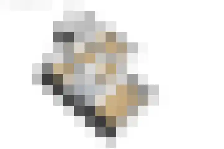 Van Aernsmastrjitte 20 Damwâld thumbnail 84