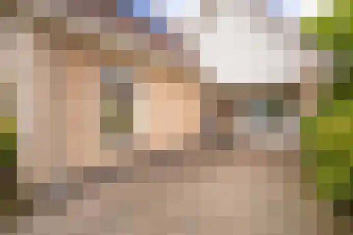 Van Aernsmastrjitte 20 Damwâld thumbnail 9