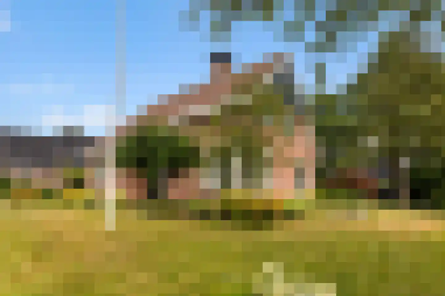 Van Aernsmastrjitte 31 Damwâld thumbnail 11