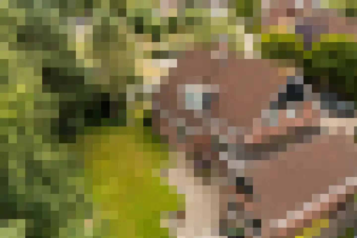 Van Aernsmastrjitte 31 Damwâld thumbnail 13