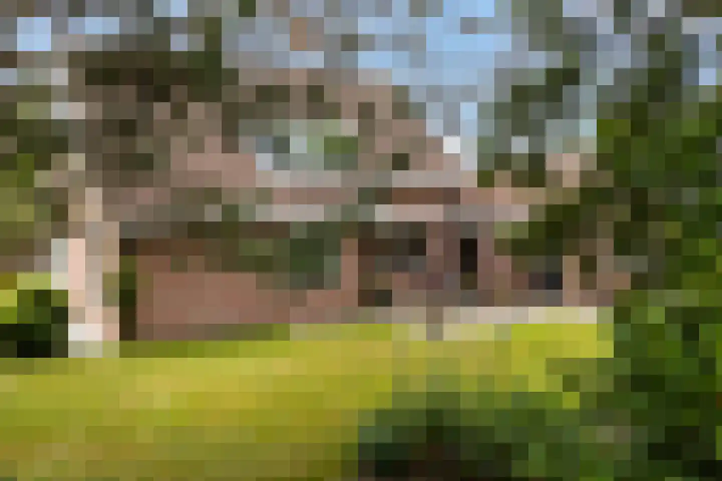 Van Aernsmastrjitte 31 Damwâld thumbnail 14