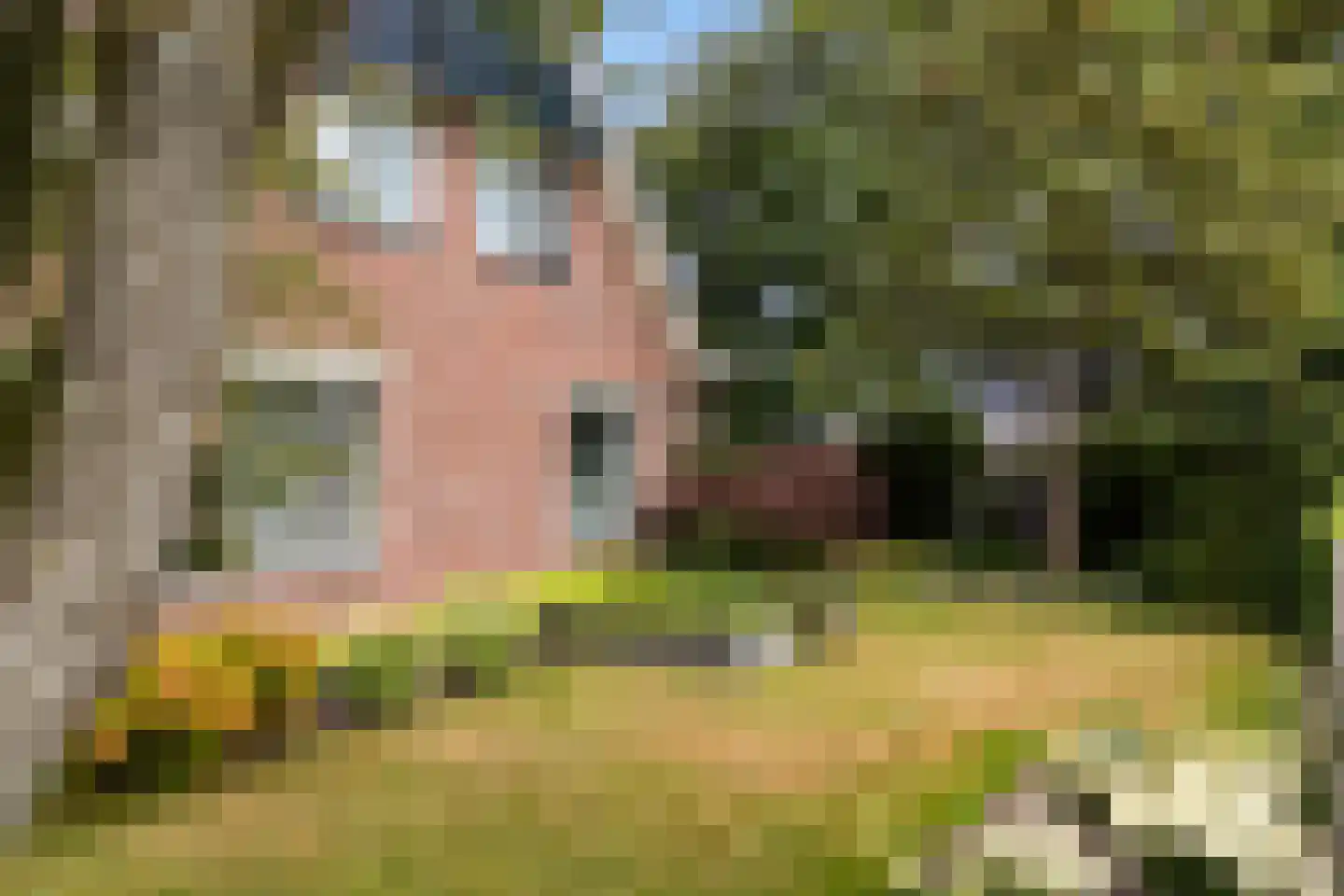 Van Aernsmastrjitte 31 Damwâld thumbnail 15