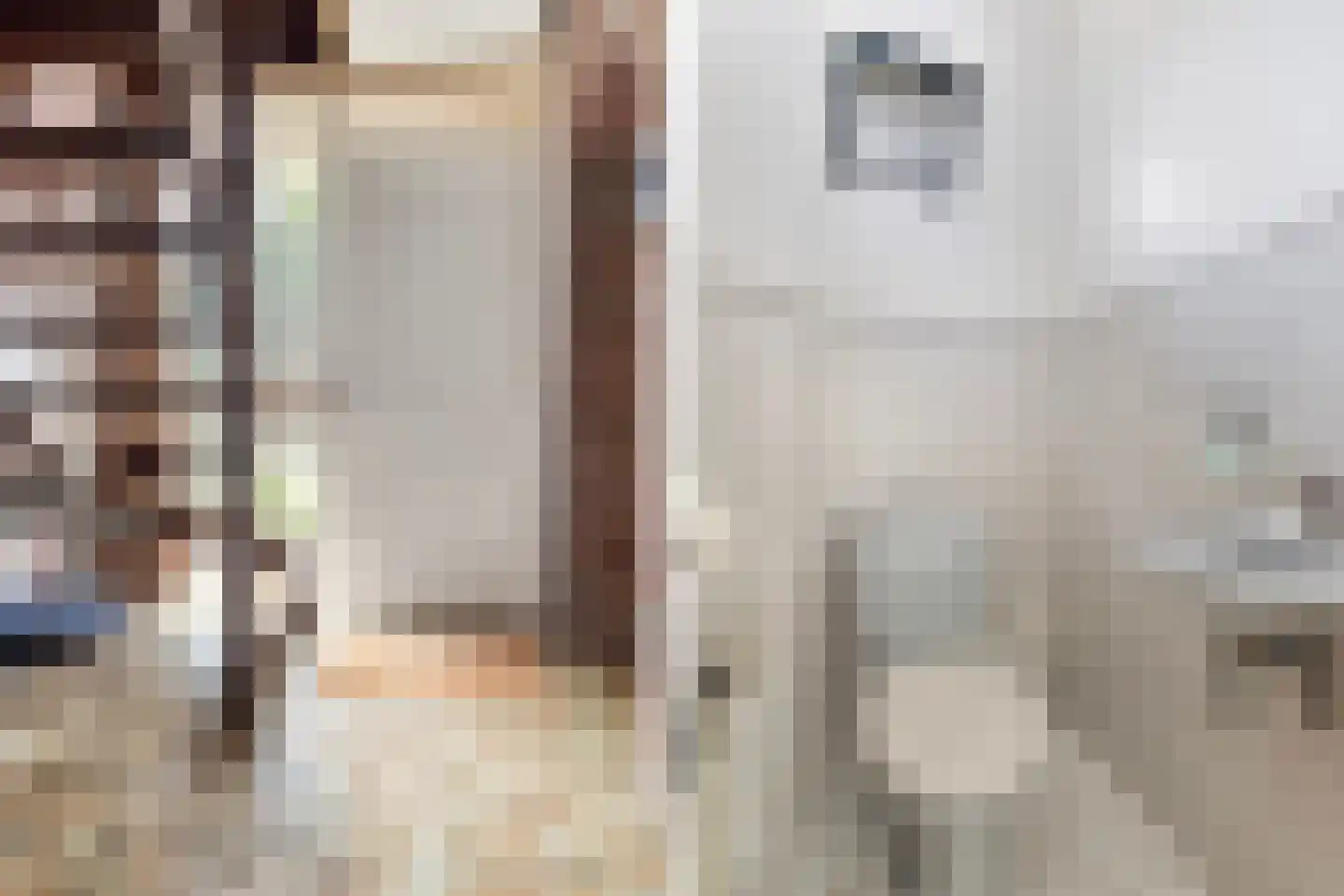 Van Aernsmastrjitte 31 Damwâld thumbnail 16