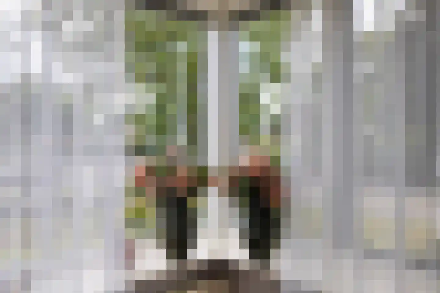 Van Aernsmastrjitte 31 Damwâld thumbnail 28