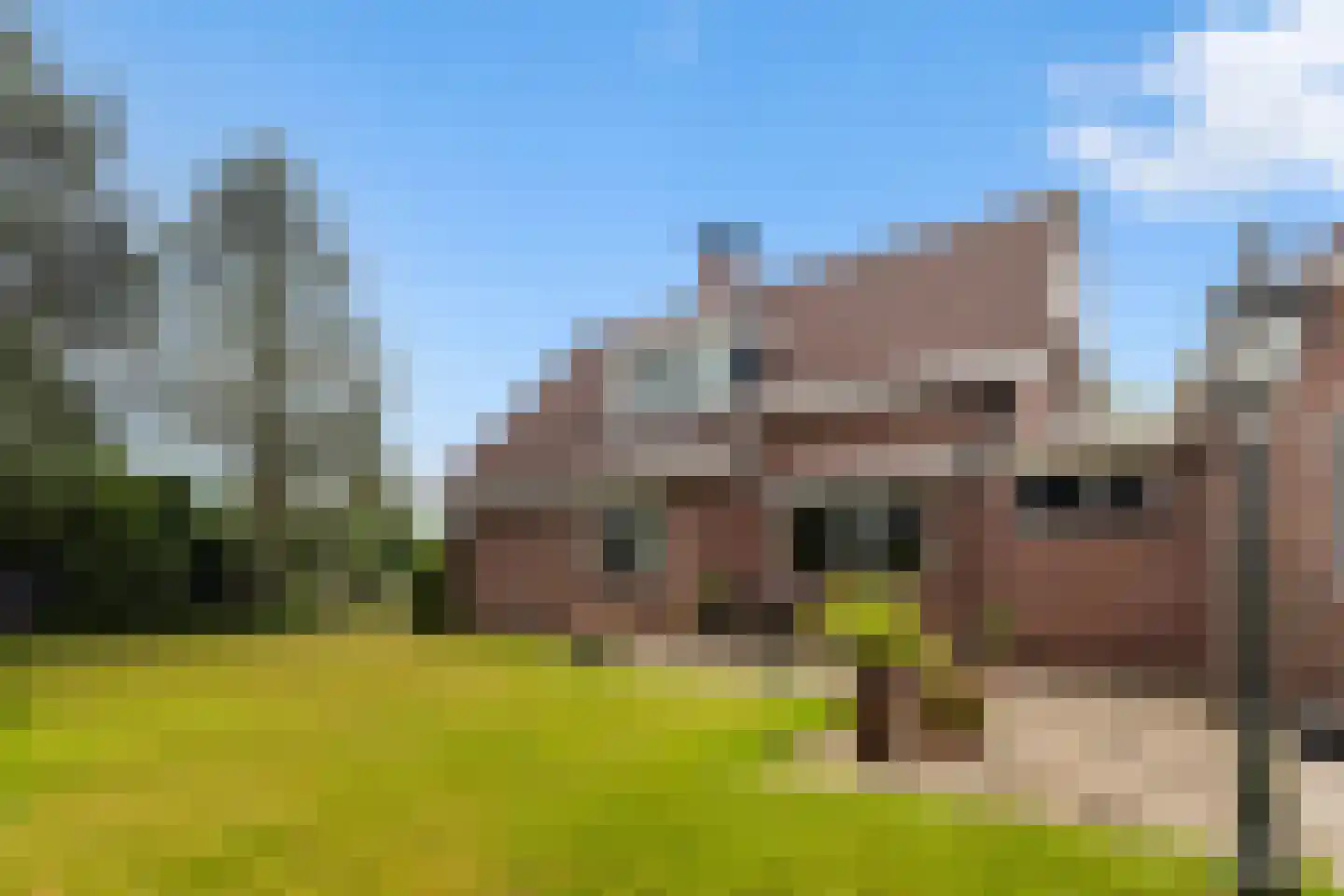 Van Aernsmastrjitte 31 Damwâld thumbnail 4